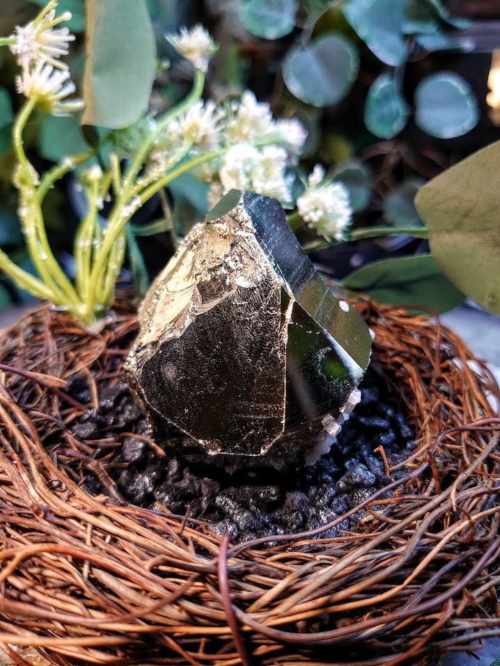 272g Beautiful Pyrite "Fool's Gold" Cluster with Quartz from Huanzala Mine, Peru, for Collection / Home and Altar Decor / Gifting