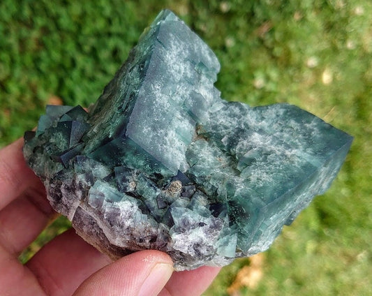 465g Naughty Gnome Pocket Green/Blue Fluorite Cluster "Diana Maria Mine" From United Kingdom for Home & Altar Decor / Collection