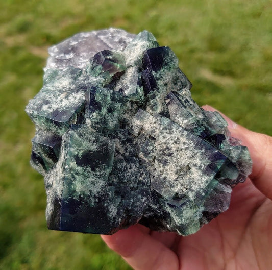 542g Naughty Gnome Pocket Green/Blue Fluorite Cluster "Diana Maria Mine" on Matrix From United Kingdom for Home & Altar Decor / Collection