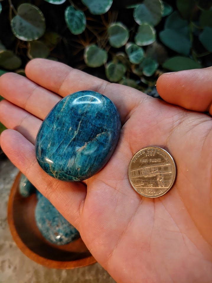 Blue Apatite Palm Stones from Madagascar/ Blue Apatite Gemstone/ for Crystal Healing/ Reiki/ Meditation/ Crystal & Mineral Collectors