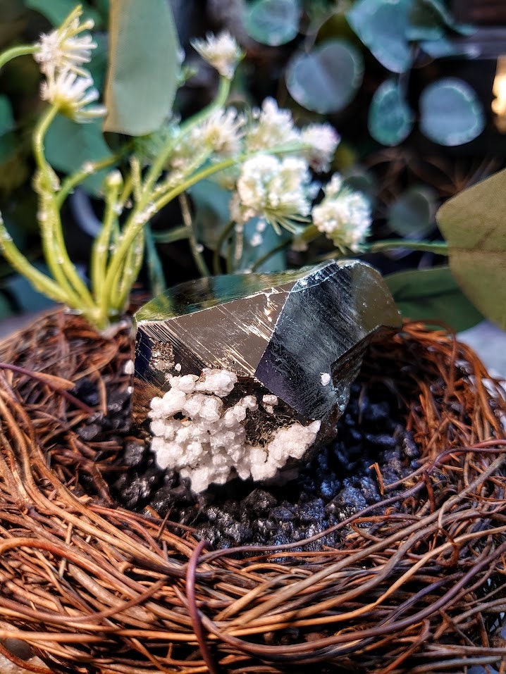 272g Beautiful Pyrite "Fool's Gold" Cluster with Quartz from Huanzala Mine, Peru, for Collection / Home and Altar Decor / Gifting