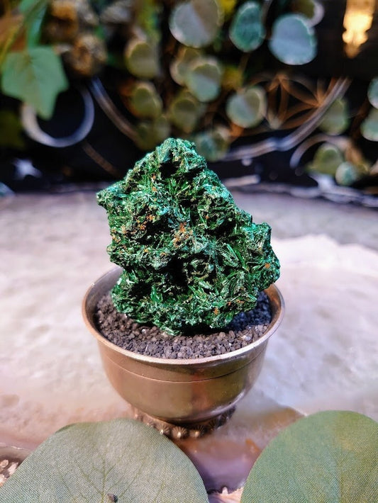 40.2g Silky Fibrous Malachite Specimen from Kasompe, Congo for Home and Altar Decor / Collection / Crystal Healing