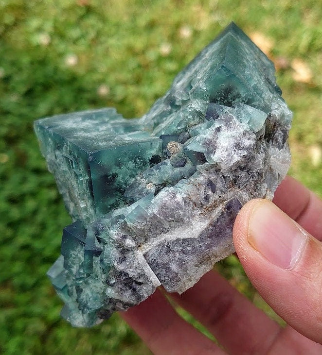 465g Naughty Gnome Pocket Green/Blue Fluorite Cluster "Diana Maria Mine" From United Kingdom for Home & Altar Decor / Collection