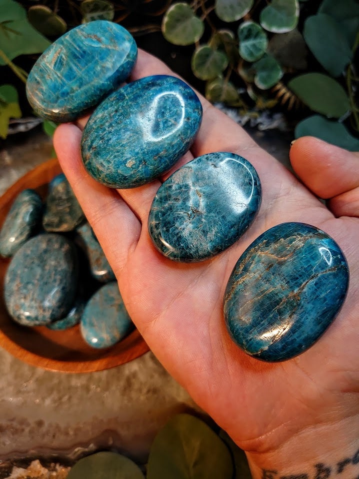 Blue Apatite Palm Stones from Madagascar/ Blue Apatite Gemstone/ for Crystal Healing/ Reiki/ Meditation/ Crystal & Mineral Collectors