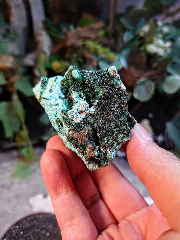 94g Natural Chrysocolla with Malachite and Druzy on Matrix for Home and Altar Decor / Energy Work / Crystal Healing / Collection