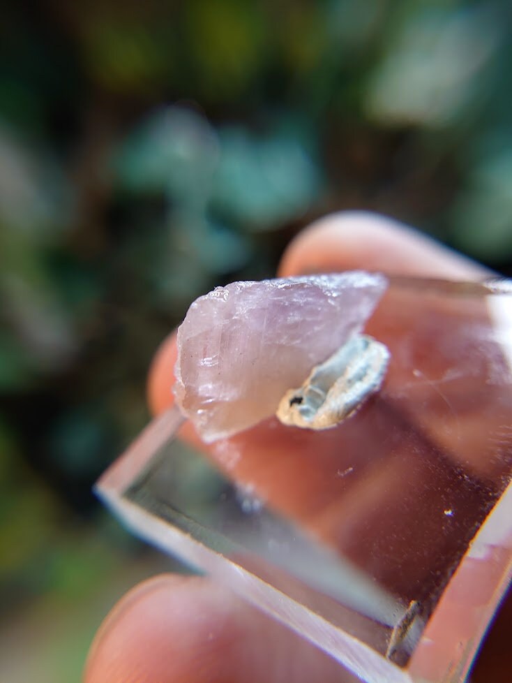 11.65ct Pink Mangano Axinite Gemstone Blade from Merelani Hills, Tanzania for Unique Collection / Rare Specimen / Small Sized