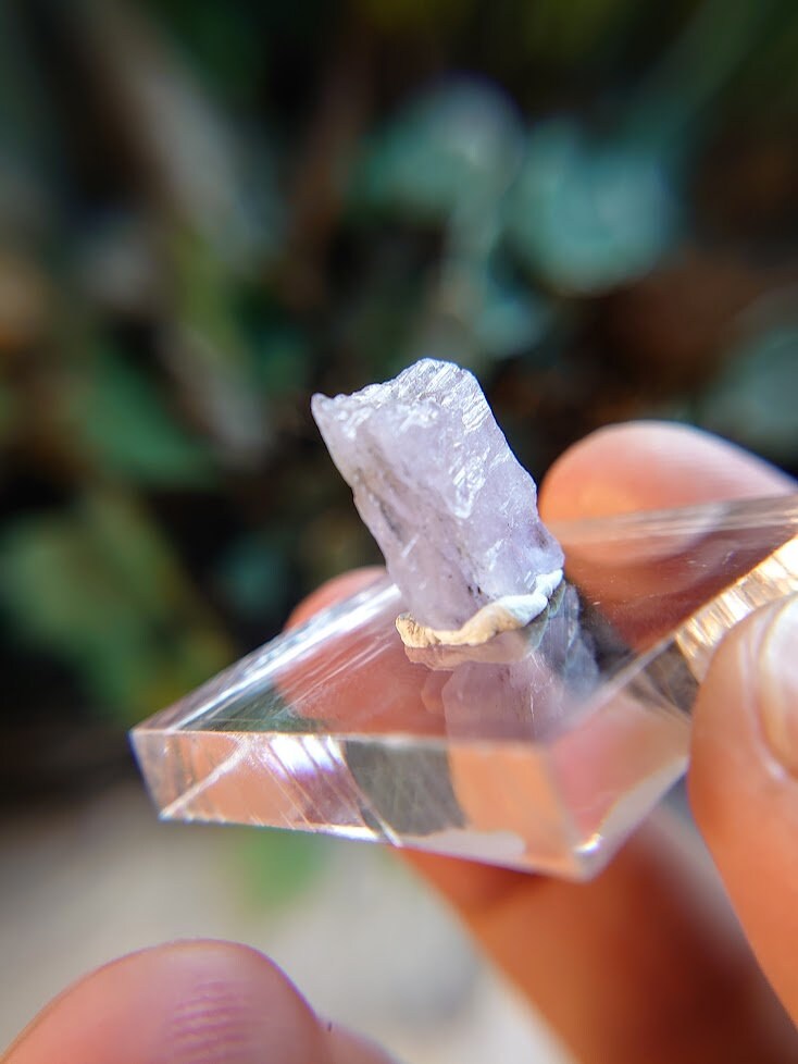 7.95ct Pink Mangano Axinite Gemstone Blade from Merelani Hills, Tanzania for Unique Collection / Rare Specimen / Small Sized