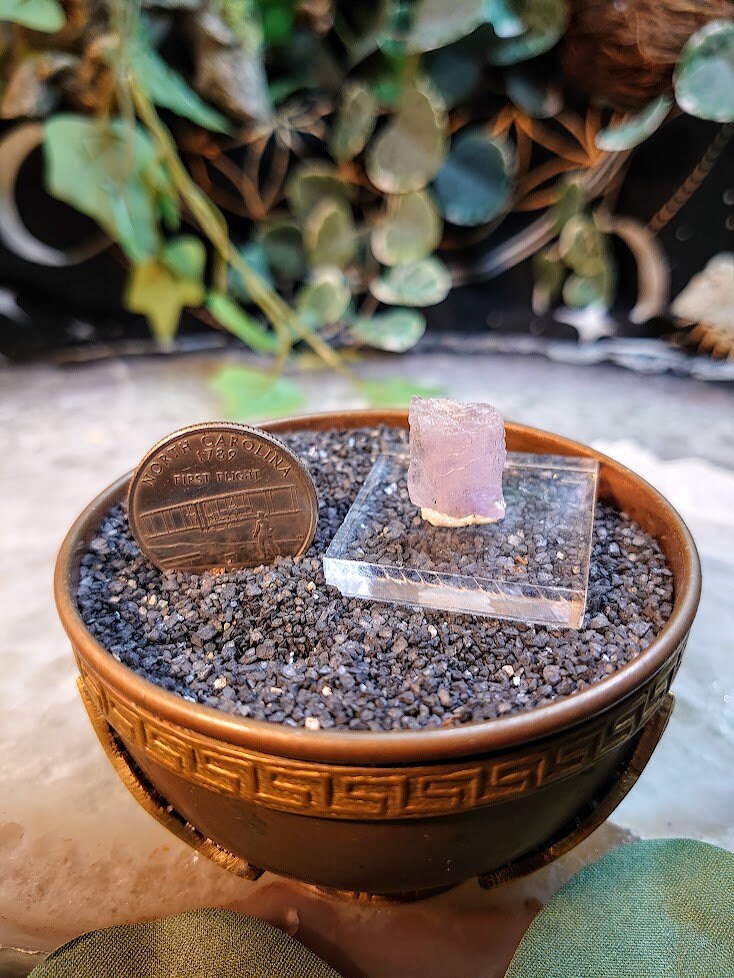 7.95ct Pink Mangano Axinite Gemstone Blade from Merelani Hills, Tanzania for Unique Collection / Rare Specimen / Small Sized