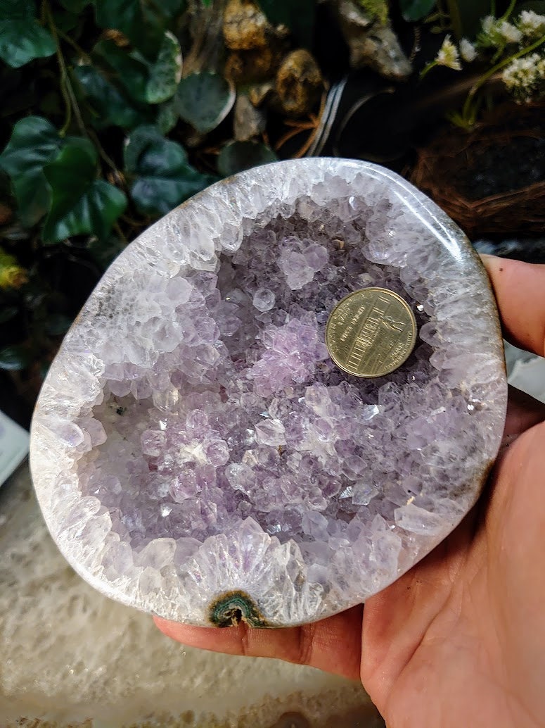 Amethyst Druzy Crystal "Bowl" from Uruguay for Altar and Home Decor / 624g / Energy Work / Crystal Healing / Reiki