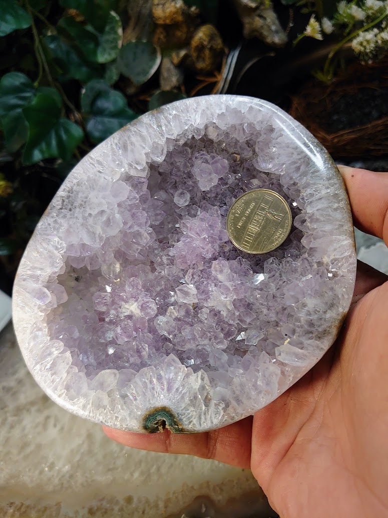 Amethyst Druzy Crystal "Bowl" from Uruguay for Altar and Home Decor / 624g / Energy Work / Crystal Healing / Reiki