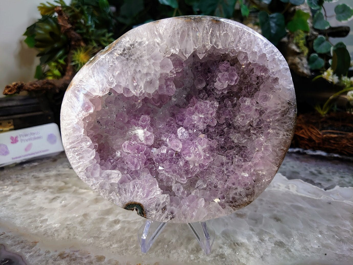 Amethyst Druzy Crystal "Bowl" from Uruguay for Altar and Home Decor / 624g / Energy Work / Crystal Healing / Reiki