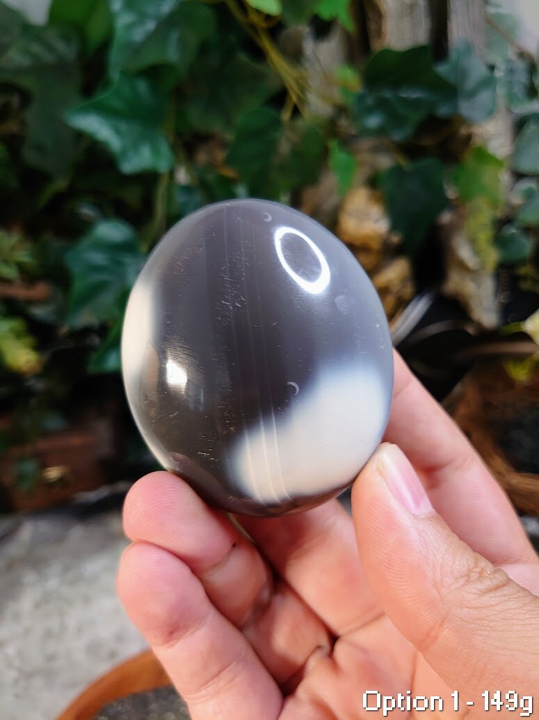 Orca Agate Palm Stones from Madagascar for Crystal Healing/ Select Your Palmstone / Reiki/ Meditation/ Crystal & Mineral Collectors