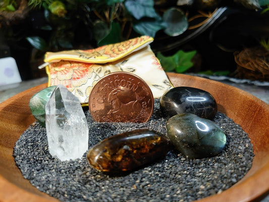 Capricorn Zodiac Crystal Kit with 1oz Copper Coin / Astrology Kit / Medicine Bag / Crystal Set / Crystal Kit