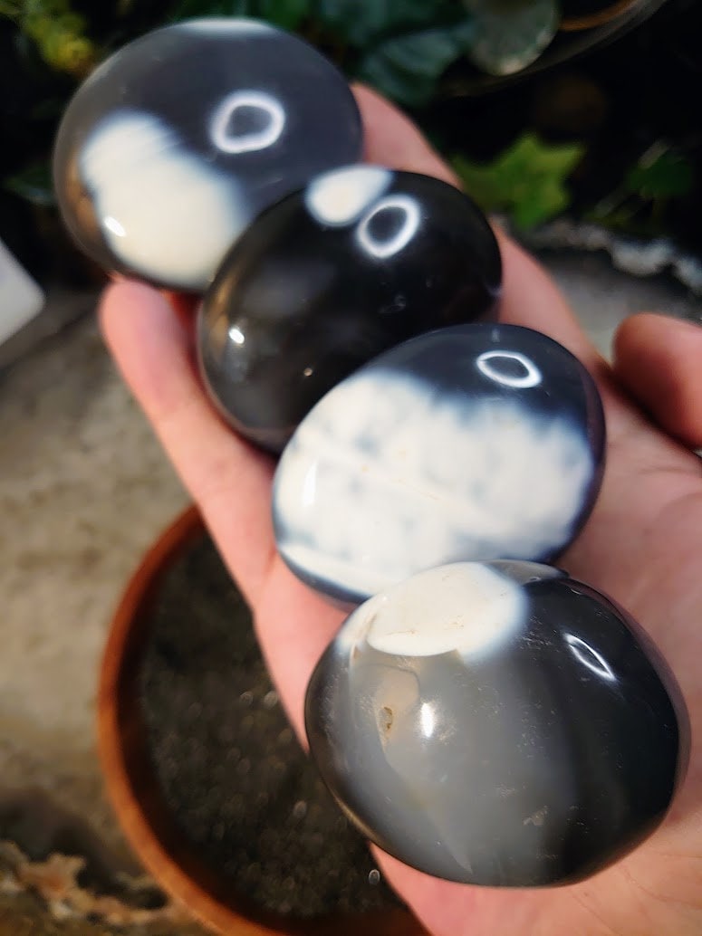 Orca Agate Palm Stones from Madagascar for Crystal Healing/ Select Your Palmstone / Reiki/ Meditation/ Crystal & Mineral Collectors