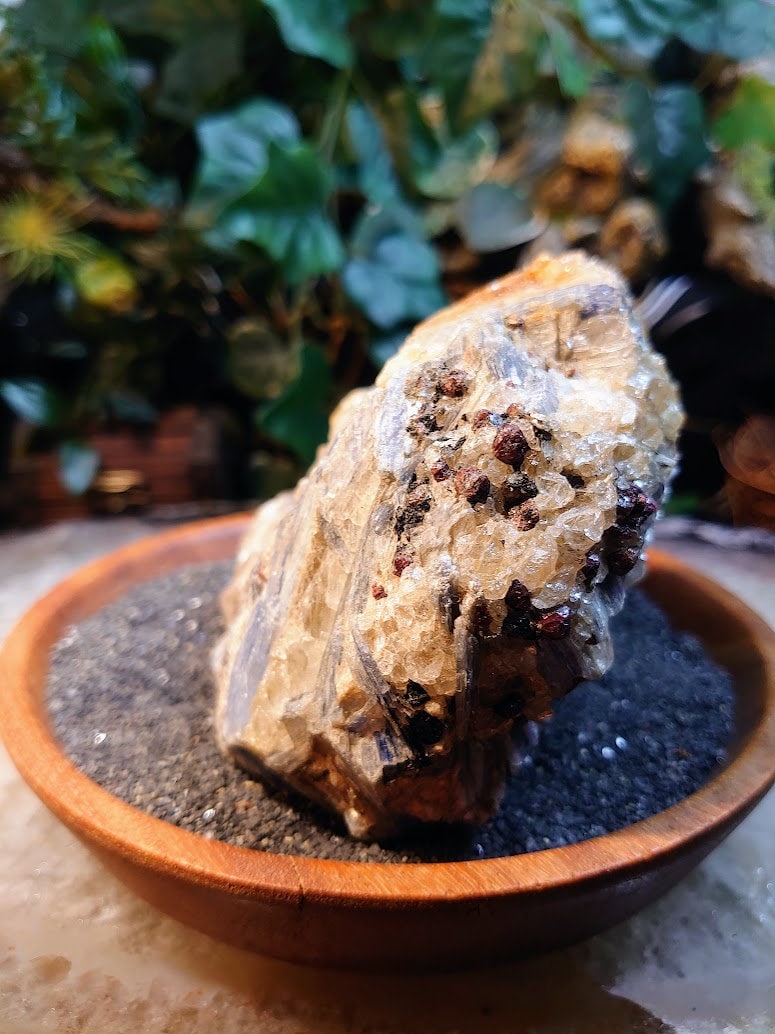 Blue Kyanite Clusters on Quartz Formation from Zimbabwe for Home and Altar Decor / 1,138g / Collection / Energy