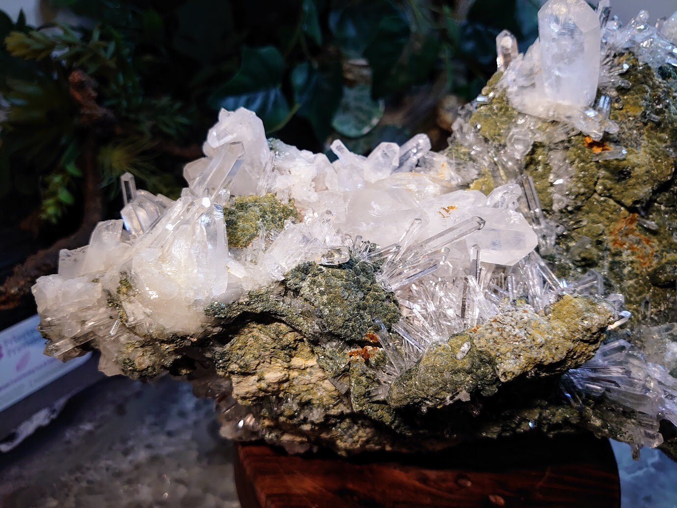 Epic Colombian Clear Quartz Cluster on Chlorite Matrix / 4,512g / Cabinet Specimen / Collection / Home and Altar Decor