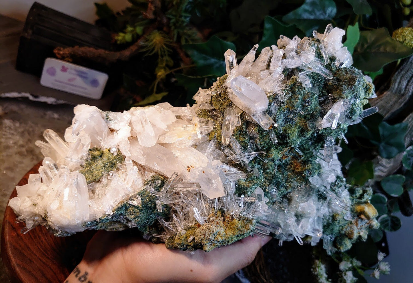 Epic Colombian Clear Quartz Cluster on Chlorite Matrix / 4,512g / Cabinet Specimen / Collection / Home and Altar Decor