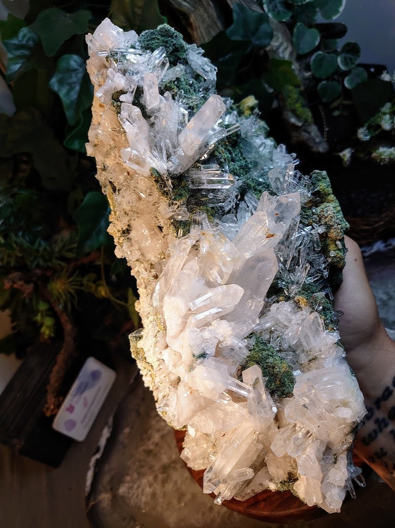 Epic Colombian Clear Quartz Cluster on Chlorite Matrix / 4,512g / Cabinet Specimen / Collection / Home and Altar Decor