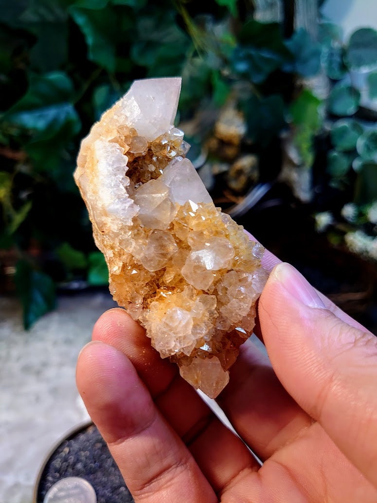 Spirit Quartz Cluster with Ametrine from ZA / 103.4g / Cactus Quartz / Spirit Amethyst for Crystal Healing / Meditation/ Reiki / Gifting