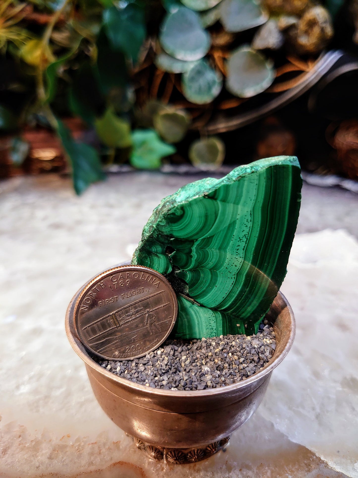 Small Malachite Polished Slice from Kasompe, Congo for Home and Altar Decor / 187.80ct / Collection / Crystal Healing / Gifting