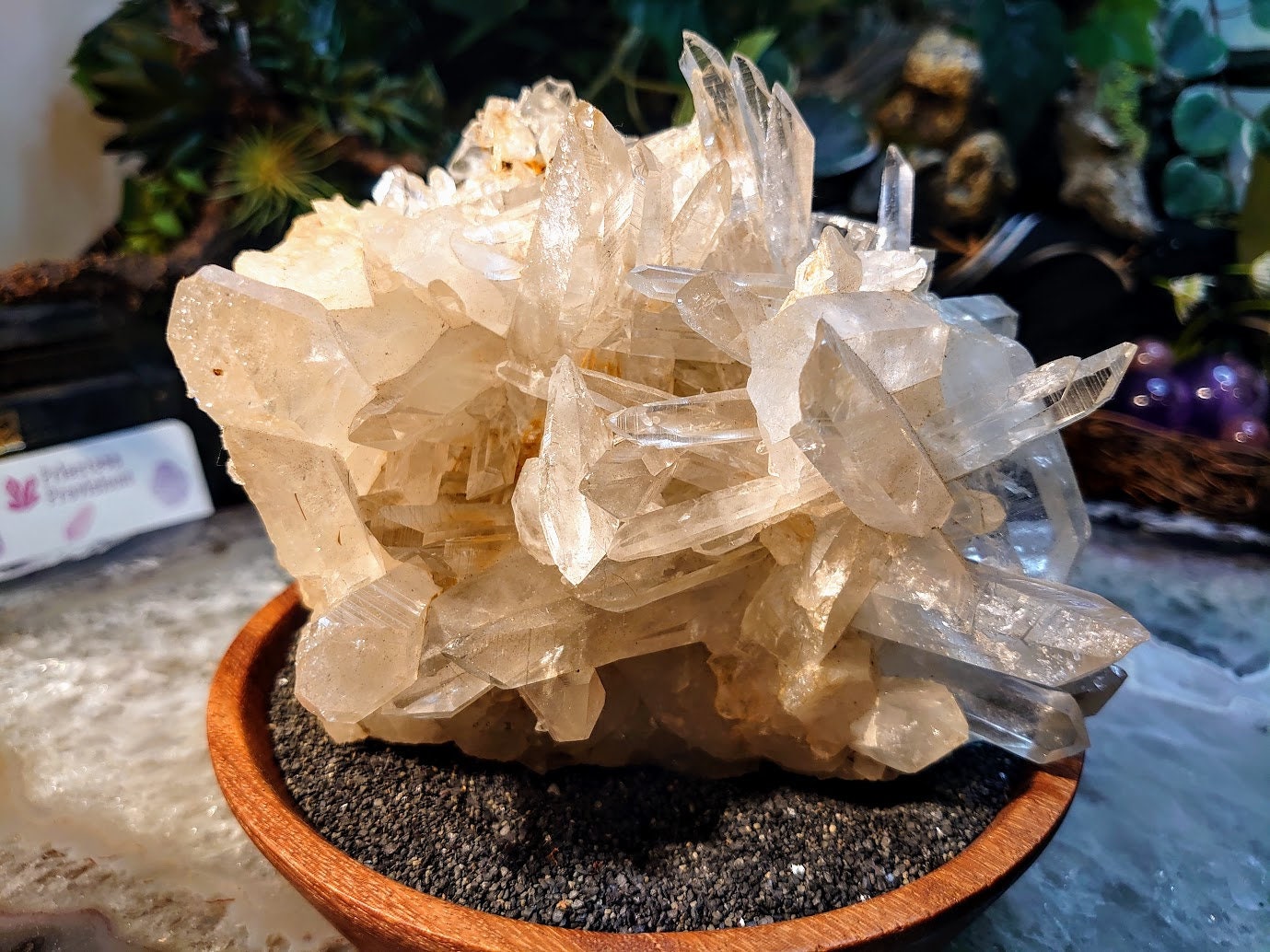 Beautiful Colombian Clear Quartz Cluster / 1,112g / Cabinet Specimen / Meditation / Home and Altar Decor