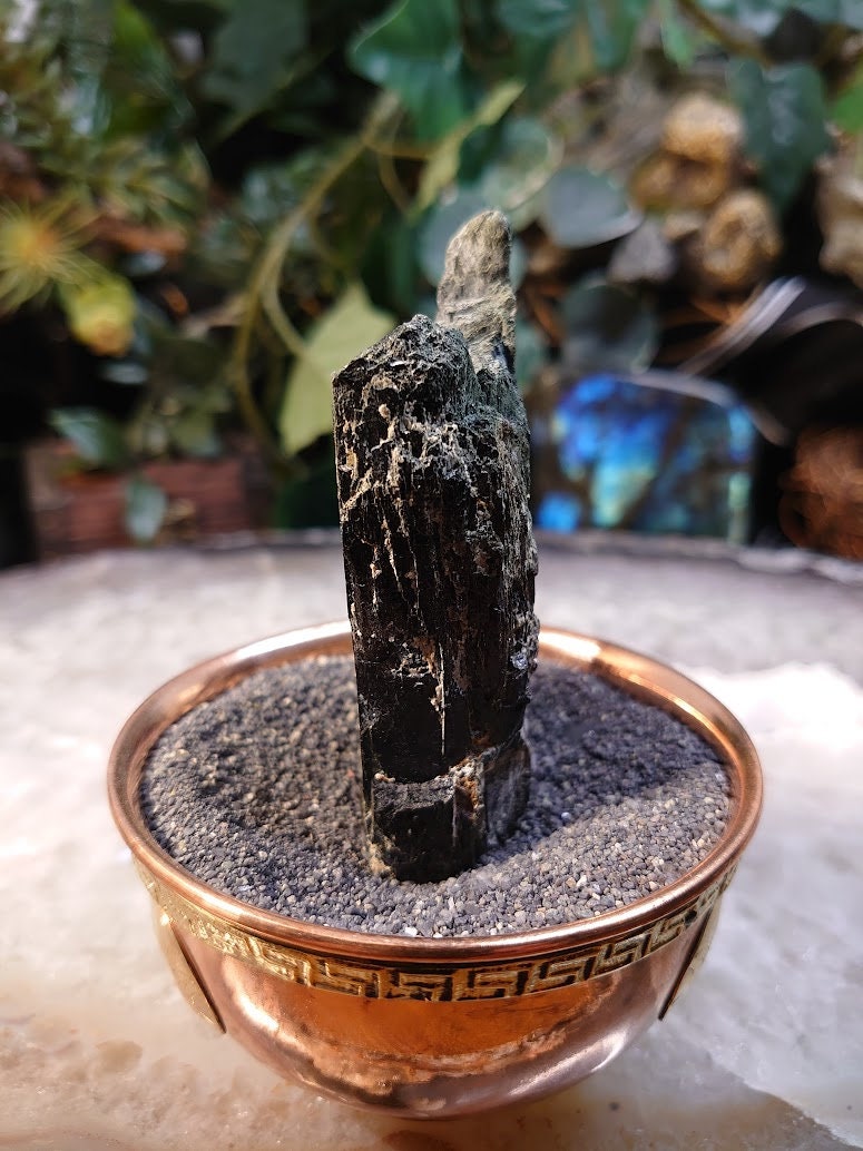 Black Aegirine Crystal from Malawi, Africa for Crystal Healing / 123g / Home & Altar Decor / Negative Protection