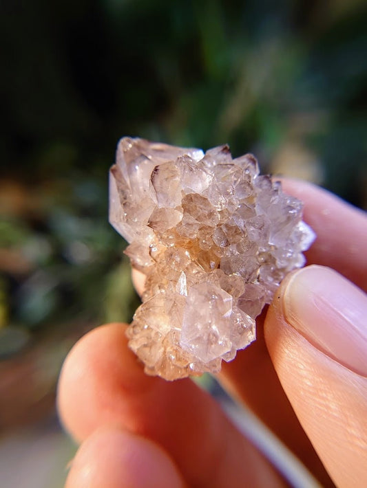 Spirit Quartz Cluster from South Africa / 24.48g / Cactus Quartz / Spirit Amethyst for Crystal Healing / Meditation/ Reiki / Gifting