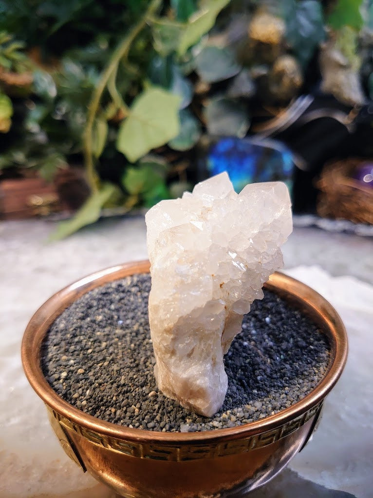 Fairy Quartz Cluster from Boekenhouthoek, South Africa / 88.70g / White Spirit Quartz / Natural / Crystal Healing / Gifting & Housewarming