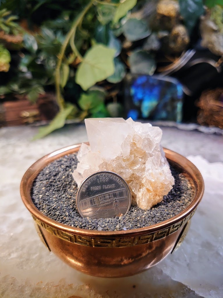 Fairy Quartz Cluster from Boekenhouthoek, South Africa / 79.86g / White Spirit Quartz / Natural / Crystal Healing / Gifting & Housewarming