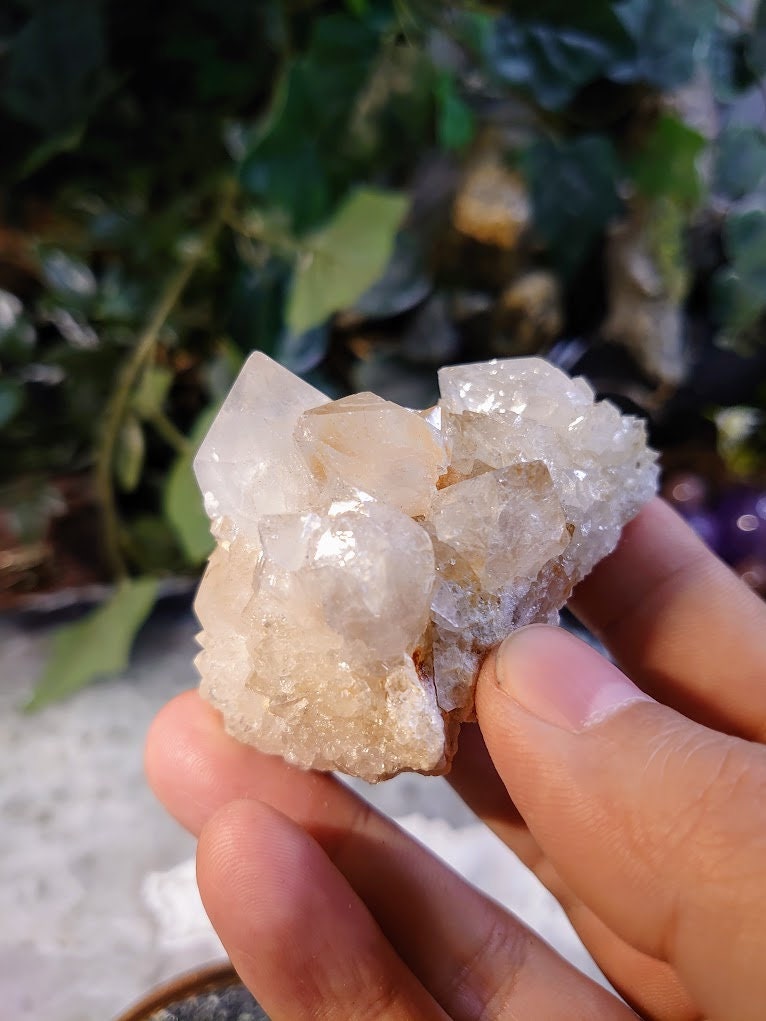 Fairy Quartz Cluster from Boekenhouthoek, South Africa / 101.82g / White Spirit Quartz / Natural / Crystal Healing / Gifting & Housewarming