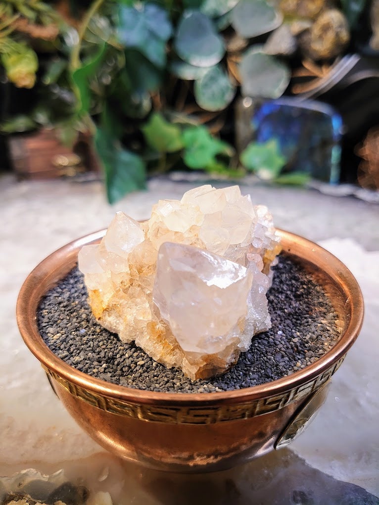 Fairy Quartz Cluster from Boekenhouthoek, South Africa / 88.26g / White Spirit Quartz / Natural / Crystal Healing / Gifting & Housewarming