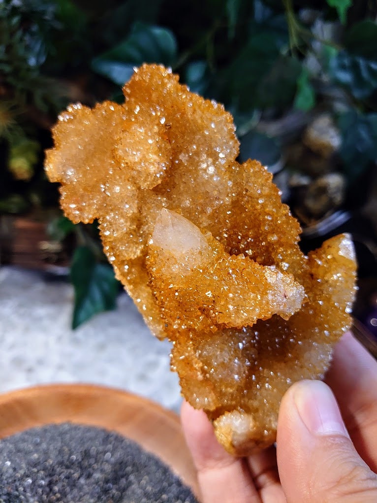 Sunshine Spirit Quartz Cluster from ZA / 216g / Golden Healer Cactus Quartz for Crystal Healing / Meditation/ Reiki / Natural / Gifting