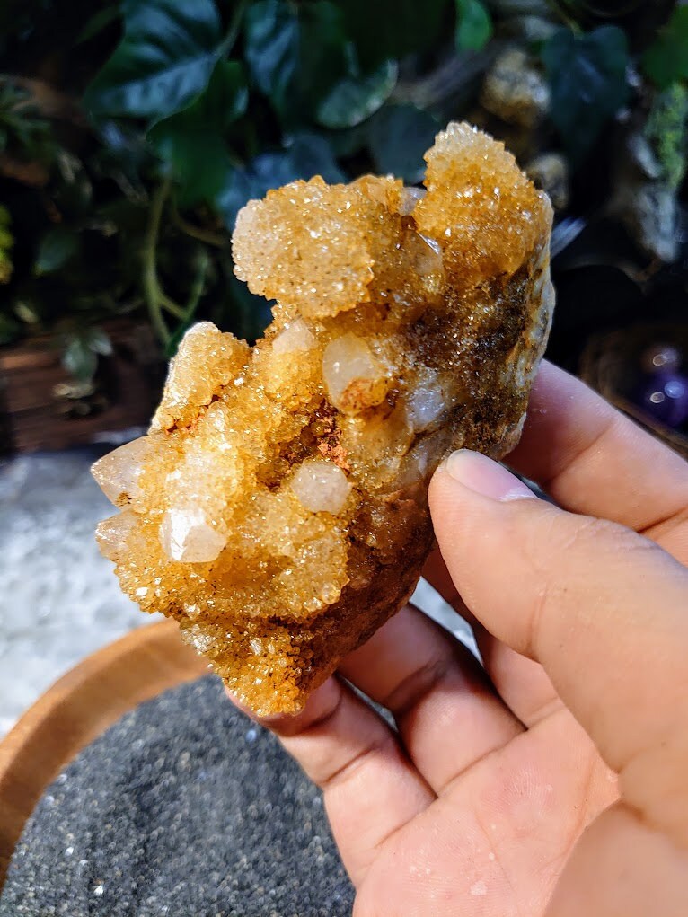 Sunshine Spirit Quartz Cluster from ZA / 174g / Golden Healer Cactus Quartz for Crystal Healing / Meditation/ Reiki / Natural / Gifting