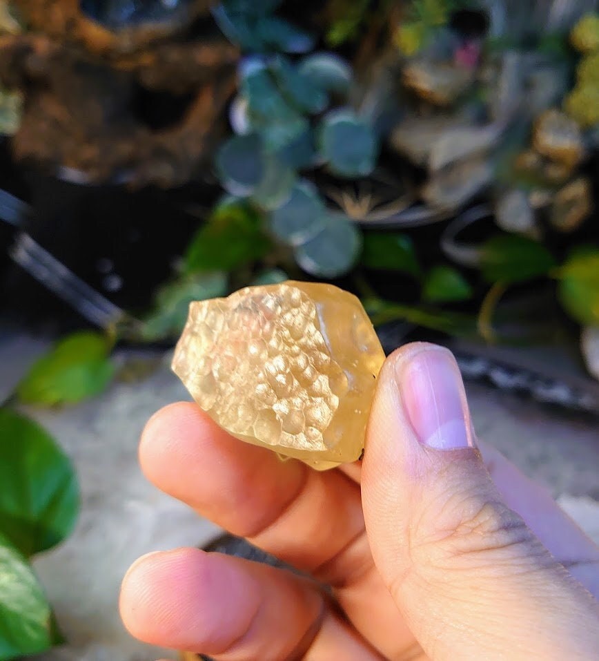 21.93g Libyan Gold Tektite/ Libyan Desert Glass Gemstone From the Great Sand Sea, Egypt