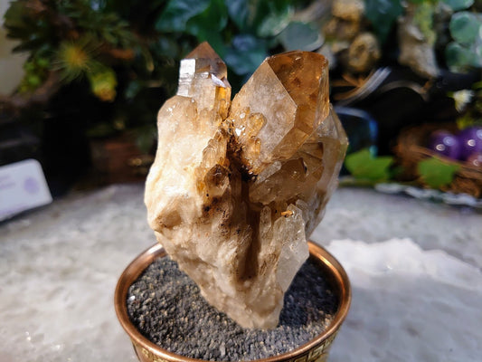 Natural Kundalini Congo Smoky Citrine Cluster on Matrix for Altar and Home Decor / 286g / Energy Work / Crystal Healing / Reiki