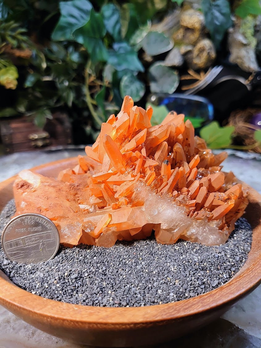 Tangerine Quartz Cluster from Minas Gerais, Brazil / 385g/ Sunfire Quartz for Altar and Home Decor / Small Cabinet Size