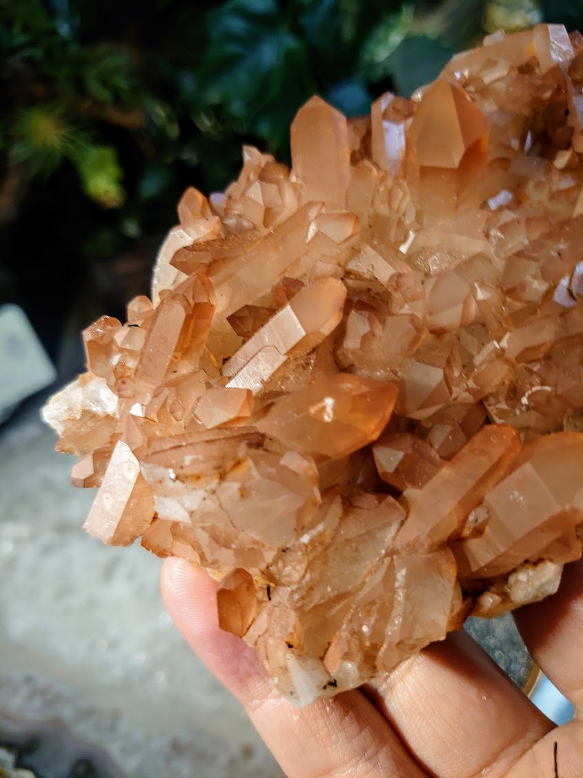 Tangerine Quartz Plate from Minas Gerais, Brazil / 140g / Sunfire Quartz for Altar and Home Decor / Small Cabinet Size