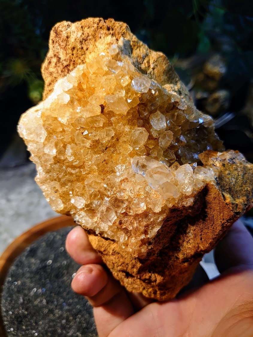 Natural Limonite Golden Healer Quartz/Citrine Cluster on Limestone from Zambia, Africa for Crystal Healing / 529g / Reiki / Home Decor