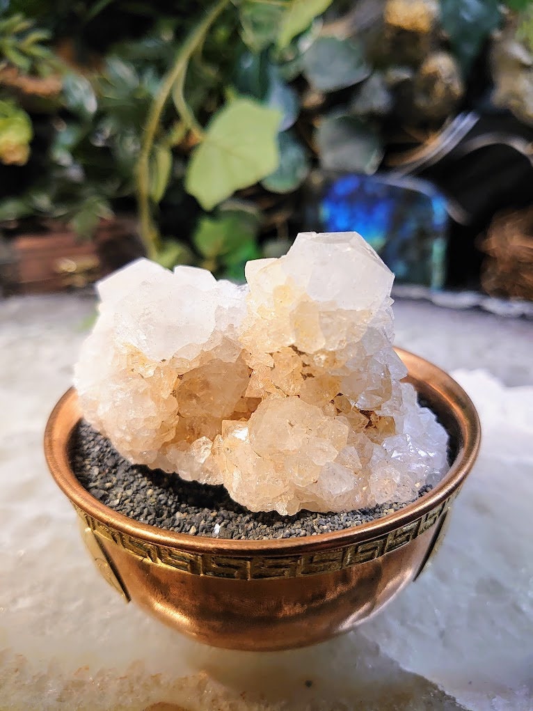 Fairy Quartz Cluster from Boekenhouthoek, South Africa / 172g / White Spirit Quartz / Natural / Crystal Healing / Gifting & Housewarming