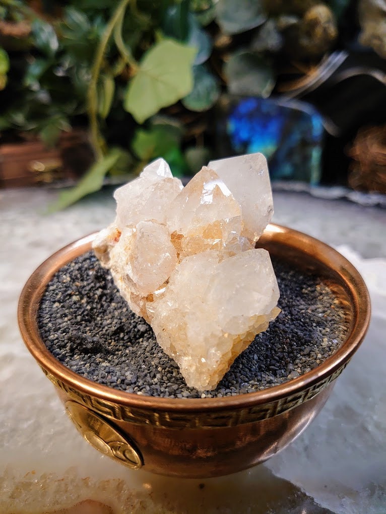 Fairy Quartz Cluster from Boekenhouthoek, South Africa / 101.82g / White Spirit Quartz / Natural / Crystal Healing / Gifting & Housewarming