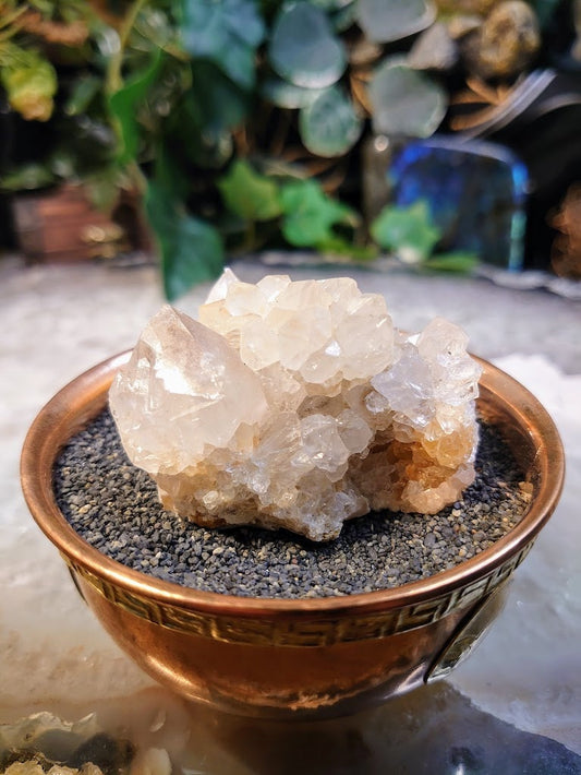 Fairy Quartz Cluster from Boekenhouthoek, South Africa / 88.26g / White Spirit Quartz / Natural / Crystal Healing / Gifting & Housewarming