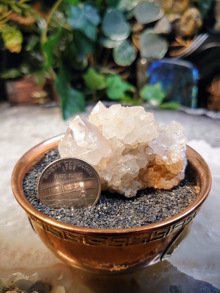 Fairy Quartz Cluster from Boekenhouthoek, South Africa / 88.26g / White Spirit Quartz / Natural / Crystal Healing / Gifting & Housewarming