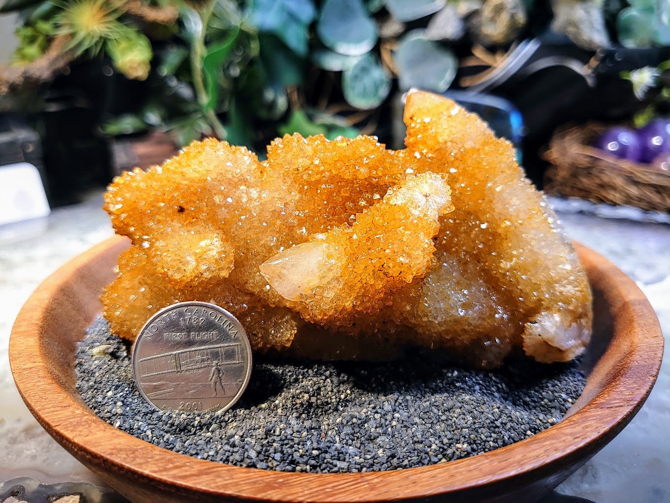 Sunshine Spirit Quartz Cluster from ZA / 216g / Golden Healer Cactus Quartz for Crystal Healing / Meditation/ Reiki / Natural / Gifting