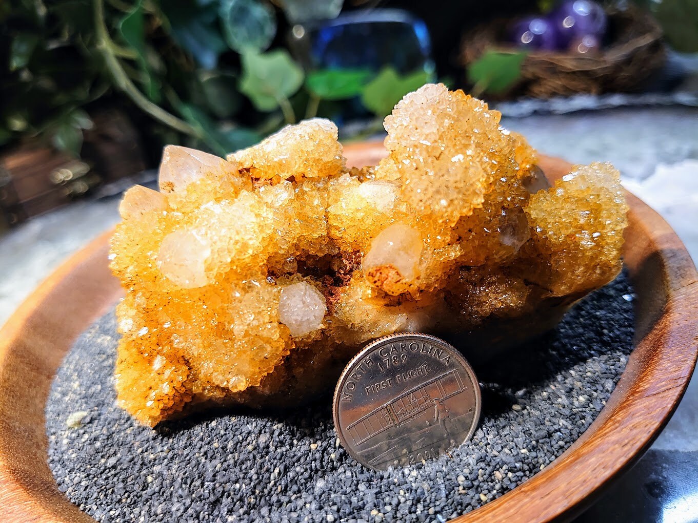 Sunshine Spirit Quartz Cluster from ZA / 174g / Golden Healer Cactus Quartz for Crystal Healing / Meditation/ Reiki / Natural / Gifting