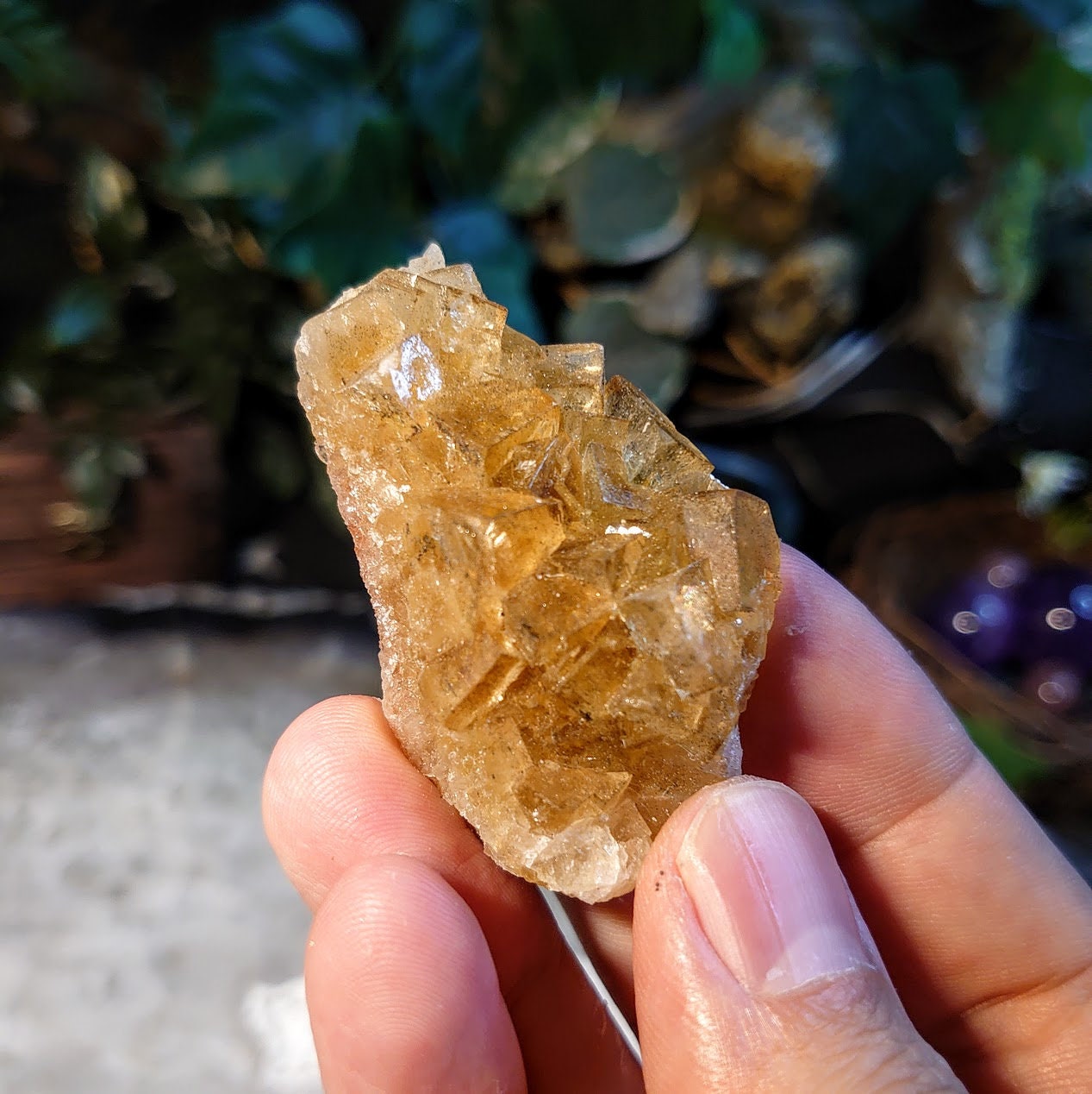 Golden Yellow Fluorite Cluster from Moscona Mine, Spain for Collection / 51.54g / Energy Work / Altar Decor / Meditation /