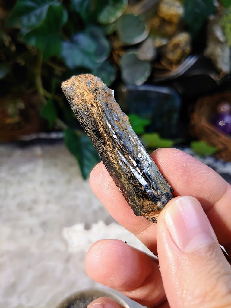 2.5" Glossy Black Aegirine Rod from Malawi, Africa for Crystal Healing/ Home & Altar Decor / Negative Protection