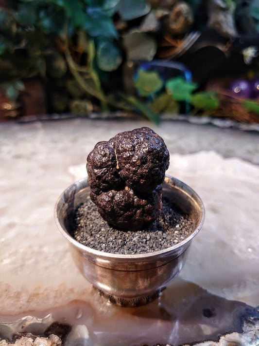 Egyptian Prophecy Stone for Crystal Healing / 49.57g / Goethite after Marcasite / Crystal Poop / Reiki / Meditation