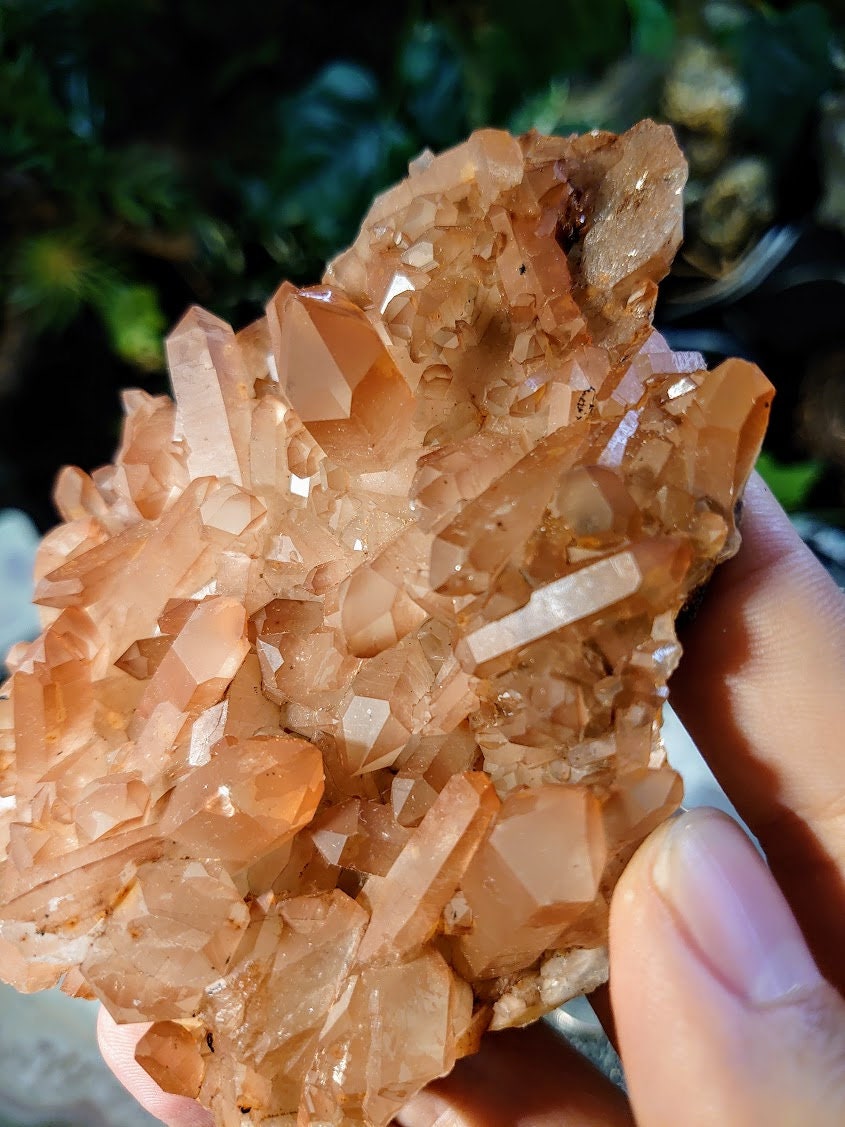 Tangerine Quartz Plate from Minas Gerais, Brazil / 140g / Sunfire Quartz for Altar and Home Decor / Small Cabinet Size