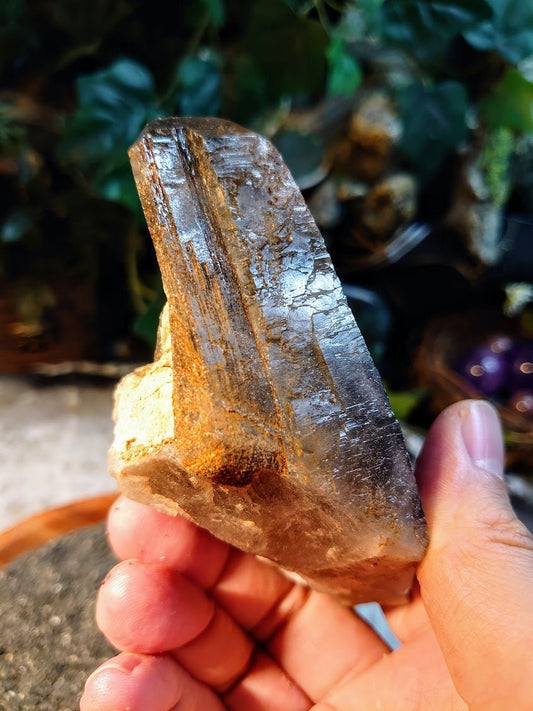 Natural Smoky Quartz Cluster with Tabular Point and Self Healing from Malawi, Africa for Collection / 248g / Home Decor / Protection