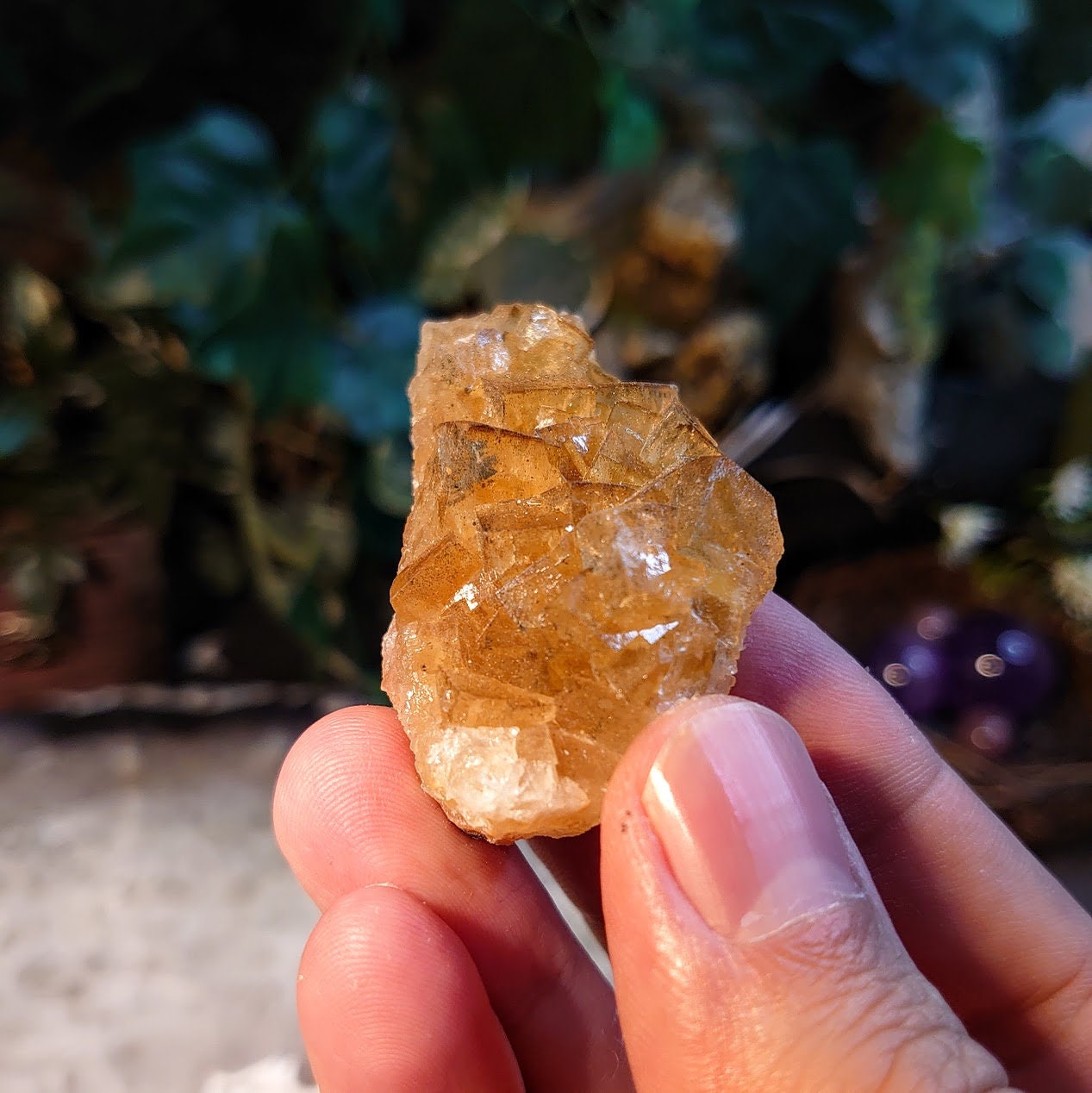 Golden Yellow Fluorite Cluster from Moscona Mine, Spain for Collection / 51.54g / Energy Work / Altar Decor / Meditation /